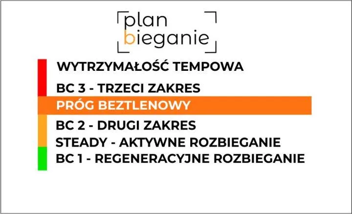 Dlaczego po bieganiu zauważasz szybsze tętno? Oto odpowiedź!