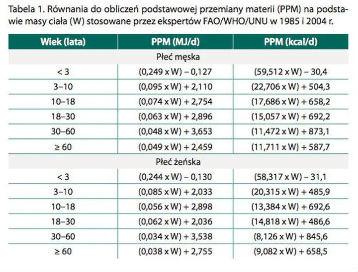 Kiedy biegać, aby schudnąć: poranek czy wieczór? Sprawdź, co jest lepsze!