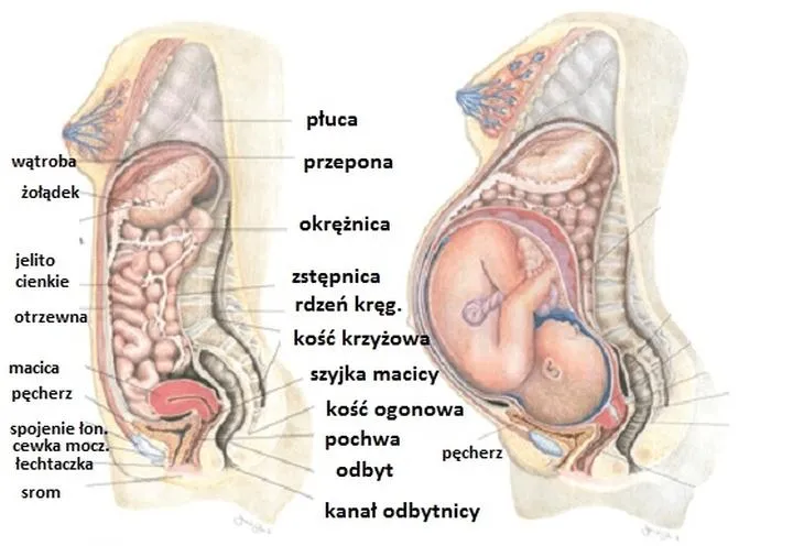 Bieganie po porodzie