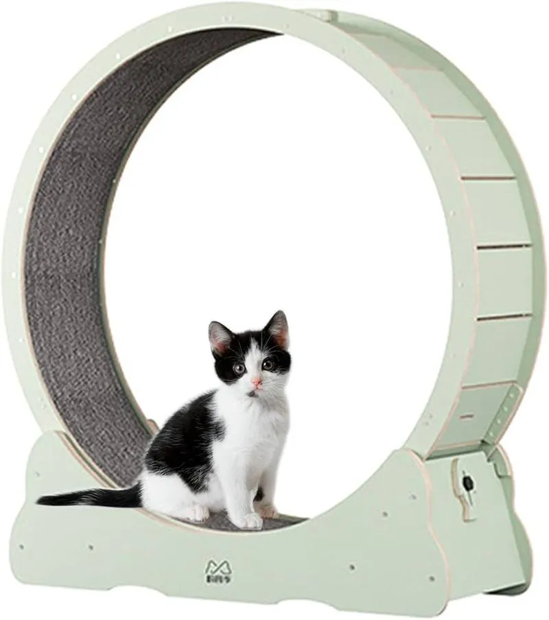 Dieta dla biegaczy i odżywianie