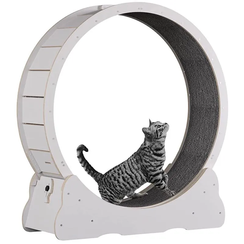 Techniki oddychania w bieganiu